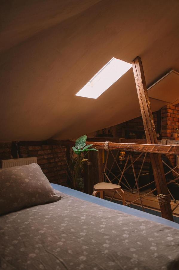 The House A La Cluj别墅 外观 照片